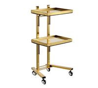 Chariot à outils roulant avec plateau de rangement à 2 niveaux pour beauté, cheveux, tatouage, spa, clinique