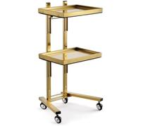 Chariot à roulettes à 3 niveaux, support de rangement mobile en acier inoxydable avec plateau pour salon de beauté et organisation de cuisine