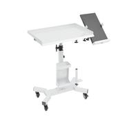 Chariot à roulettes Salon De Beauté, Plateau Outils Tatouage Réglable avec Table Dextension Rotative, Poste Travail Mobile Compartiments Rangement Studio Beauté Et Art du Tatouage Silver