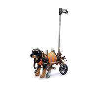 Chariot Chariot/fauteuil roulant pour chien à 4 roues avec pattes arrière handicapées marche et guidon pour pattes arrière fauteuil roulant léger pour chat de 9 à 20 lb Auxiliaire