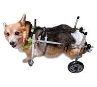 Chariot Chien Handicapé Chariot, Chariot de rééducation en métal for Chiens, for Petits Animaux de Compagnie, fauteuils roulants d'entraînement for Animaux handicapés(Size XS Widen)