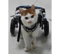 Chariot Chien Handicapé Fauteuil Roulant à Deux Roues pour Chat, Pattes Arrières, Orthèse D'assistance Réglable pour Chien en Cas de Paralysie, Poussette de Récupération pour Animaux, Déambulateur(XS)