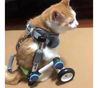 Chariot Chien Handicapé Fauteuil Roulant de Chien Léger Réglable, Chariot pour Animaux de Compagnie de Petit Chat avec Un Harnais Doux, Aider Handicap Animal Faible Ligne de Réadaptation Des Pattes Ar