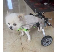 Chariot Chien Handicapé Fauteuil Roulant Léger pour Animaux de Compagnie pour les Pattes Arrière des Chiens, Chariot à Chien en Aluminium, Marcheur Assisté Par Chat Confortable, Aide à la Marche (Siz