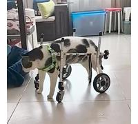 Chariot Chien Handicapé Fauteuil Roulant pour Chat Xxs/xs/s pour Pattes Arrière, Aides à La Mobilité pour Chien à Quatre Roues pour La Rééducation de L'arthrite, Chariot Portable pour Attelle de Jambe