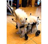 Chariot Chien Handicapé Marcheur Assisté Par Fauteuil Roulant pour Chien à 4 Roues avec Poignée, Chariot de Rééducation Confortable pour Animaux de Compagnie pour Teckel/Chats Blessés de 4 à 44 Lb(L)