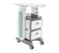 Chariot cosmétique avec 2 tiroirs sur roulettes - Chariot de beauté professionnel pour studio cosmétique et salon, chariot de travail jusqu'à 60 kg, idéal pour l'esthétique, les appareils et les