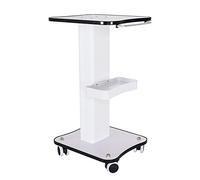 Chariot cosmétique avec roulettes - Chariot de salon - Avec roulettes - Capacité de charge élevée : 40 kg - Plateforme en bois + support en fer - Roulette universelle - Montage facile