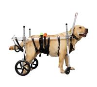 Chariot d'aide à la mobilité à 4 roues pour chiens avec jambe - Support réglable pour une meilleure mobilité
