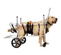 Chariot d'aide à la mobilité à 4 roues pour chiens avec jambe - Support réglable pour une meilleure mobilité