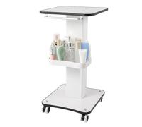 Chariot de beauté mobile à 2 niveaux pour salon et spa, chariot de rangement portable pour services et équipements de beauté