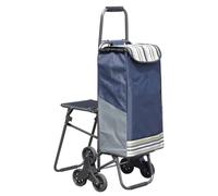 OUYUE Chariot De Course Chariot De Courses Pliable avec Siège, Chariot De Courses Robuste sur roulettes pour Courses, Blanchisserie, Chariot De Voyage Chariot Marché(A)