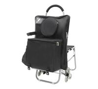 Chariot de courses avec siège, pliable, monte-escalier, chariot de courses portable, sac de courses avec roulettes, chariot de courses pliable