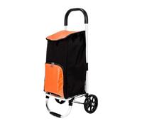 Chariot de courses pliable avec 2 grandes roues - 37 l - Chariot d'épicerie amovible - Léger - Pour les voyages au supermarché - Chariot portable pour un transport facile