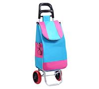 Chariot de courses pliable avec 2 roulettes, sac amovible, chariot utilitaire léger, grande capacité, chariot d'épicerie portable pour un transport facile