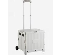 Chariot de courses pliable avec couvercle, capacité de 75 L, chariot portable avec poignée télescopique, conteneur à roulettes pliable pour camping, gris, design à 2 roues, grande solution de