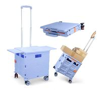 Chariot de courses pliable, housse coulissante magnétique rétractable, chariot en plastique pliable avec 4 roues, 55 kg, pour le camping, les courses, le transport, la boîte de rangement sur roulettes