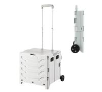 Chariot de courses pliable rapide de 36 l avec couvercle, 2 roulettes, coque rigide, poignée télescopique réglable, chariot pour le shopping, le marché et le camping, stable, léger, sans montage