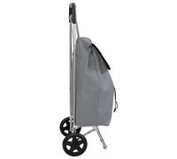 Chariot de courses vidaXL avec roues Gris 35 L Gris