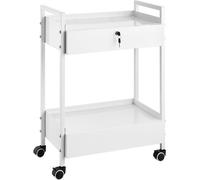 Chariot de laboratoire - chariot polyvalent à 2 étages en acier inoxydable - chariot médical sur roulettes - chariot de service blanc avec roulettes pivotantes - idéal pour les laboratoires, les hôpit