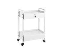 Chariot de Laboratoire Médical Chariot de Service en Inox 2 Niveaux Capacité 100kg