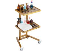 Chariot de laboratoire VEVOR en acier inoxydable avec 2 niveaux, chariot de laboratoire avec 2 étagères, chariot médical mobile avec 4 roues silencieuses, chariot de laboratoire pour laboratoire, clin
