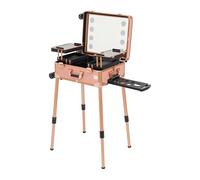 Chariot de maquillage mobile avec lumière LED et miroir, avec étagères amovibles, mallette de coiffeur réglable en hauteur, convient pour coiffeur, tatouage et nail art
