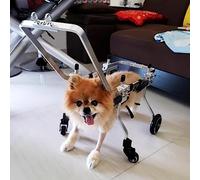 Chariot de rééducation pour animaux de compagnie en fauteuil roulant pour chien, aide les petits animaux à récupérer leur mobilité, fauteuil roulant pour chien avec poignée, attelles de patt