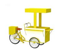 Chariot de Restauration Mobile à 3 Roues, Chariots de Vente de Nourriture en Fer, Grand vélo de Restauration avec boîte de Rangement, véhicule de marché à Vendre, Fleurs, Boissons(D)