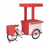 Chariot de Restauration Mobile à 3 Roues, Chariots de Vente de Nourriture en Fer, Grand vélo de Restauration avec boîte de Rangement, véhicule de marché à Vendre, Fleurs, Boissons(C)
