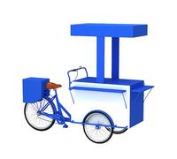 Chariot de Restauration Mobile à 3 Roues, Chariots de Vente de Nourriture en Fer, Grand vélo de Restauration avec boîte de Rangement, véhicule de marché à Vendre, Fleurs, Boissons(G)