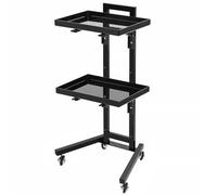 Chariot De Salon,Compact en Acier Inoxydable avec Plateau de Rangement | Chariot de Rangement pour Équipement de Salon | pour Centre de Spa Station Ongles Salle de Formation et Fournitures