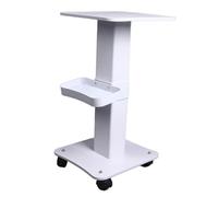 Chariot de Salon de beauté, Chariot D'esthéticienne à 3 Niveaux avec roulettes, Station de Travail pour Table de Tatouage, Plateau de Rangement de beauté, Chariot de Salon,