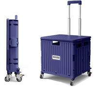 Chariot De Supermarché Boîte sur roulettes, Chariot à Livres en Plastique Couvercle Sécurisé 50kg Chargement Capacité 65l Escalier Pliant pour Monter des Sacs D’épi, Blue, 45L