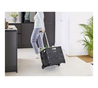 Chariot de transport 'olli' avec boîte pliante, 65 L