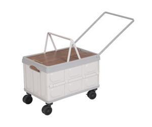 Chariot de transport pliable avec roues pivotantes à 360° - Grande capacité de 55 l - Panier à provisions avec couvercle - Pour camping, pique-nique, épicerie, gris