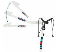 Chariot Électrique Carbone Édition Spéciale Jucad Travel Racing 2.0 Blanc