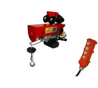 CHARIOT MOBILE PALAN ELECTRIQUE ROULANT 150 / 300KG 600W + TELECOMMANDE 4 FONCTI