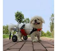 Chariot pour Chien Fauteuil Roulant Rouge pour Animaux de Compagnie pour Les Pattes Arrière, Chariot Léger pour Chat avec Roues, Assistant de Mobilité pour Chien Petit/Moyen/Grand pour Membre(XXL)