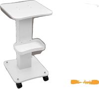Chariot pour salon de beauté, construction durable, rangement efficace, BLANC