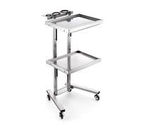Chariot professionnel en acier inoxydable avec roulettes, plateaux pliables pour salon de beauté, studio de tatouage, chariot à outils multifonction, station de travail mobile pour salons et artistes