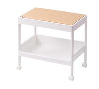 Chariot Roulant avec Roues, Grande capacité PP MDF CART Utilitaire de Construction Robuste pour Salon de beauté, Dortoir, adapté au Salon, à la Salle de Bain et au (2 Niveaux,