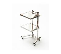 Chariot Roulant de Plateau de Salon d'acier Inoxydable, Chariot Mobile d'outil de Service de Coloration de Cheveux for Le Salon de Coiffure/Salon de beauté, Roues/roulettes(Silver)