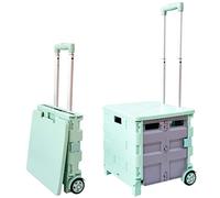 Chariot utilitaire pliable avec couvercle, capacité de 25 kg, boîte de courses portable, poignée télescopique pour linge, sport, travaux manuels et utilisation en extérieur