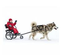 Chariots Pour Chien, Remorque Pour Chien Avec Siège Poussette Pour Animaux De Compagnie Pour Grands Et Petits Chiens, Tricycle Pliable Le Noir(Size:10-40kg)