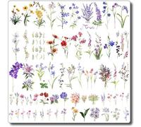 CHARLENT 40 Feuilles de Tatouages Temporaires Aquarelle Fleurs pour Femmes- Petits Autocollants Tatouages Fleurs Sauvages pour le Corps, le Cou et les Mains