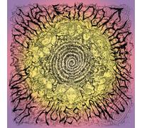 Charles Moothart - Black Holes Don't Choke [VINYL]