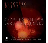Charles Pillow Large Ense - Electric Miles