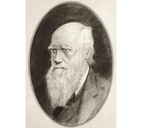 Charles Robert Darwin 1809 - 1882. Géologue naturaliste anglais et biologiste. Illustration par Gordon Ross Artiste et illustrateur américain (1873-1946) tiré des biographies vivantes des hommes
