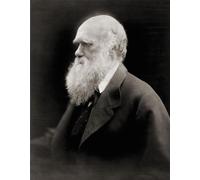 Charles Robert Darwin 1809-1882. Naturaliste et écrivain anglais après un portrait de la photographe anglaise Julia Margaret Cameron. Poster imprimé par Ken Welsh (30,5 x 38,1 cm)